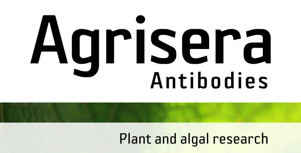 Agrisera MicroRNA相關(guān)研究植物蛋白抗體火熱促銷中！